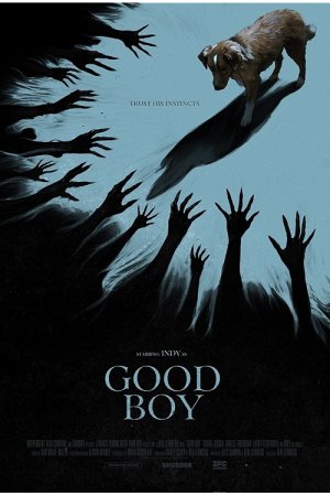 Good Boy dizi afişi